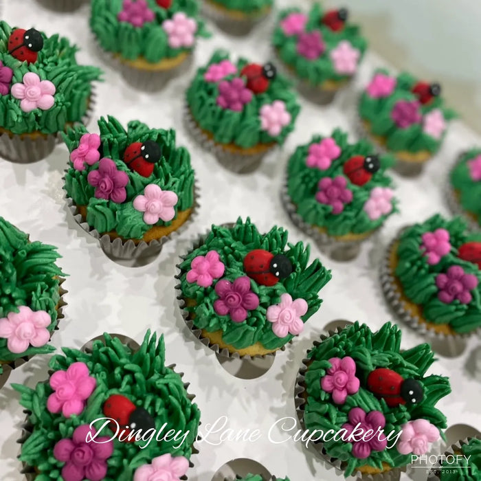 Lady Bug Cupcakes