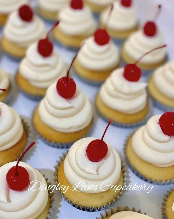 Vanilla Cupcakes with Vanilla Buttercream & Maraschino Cherries